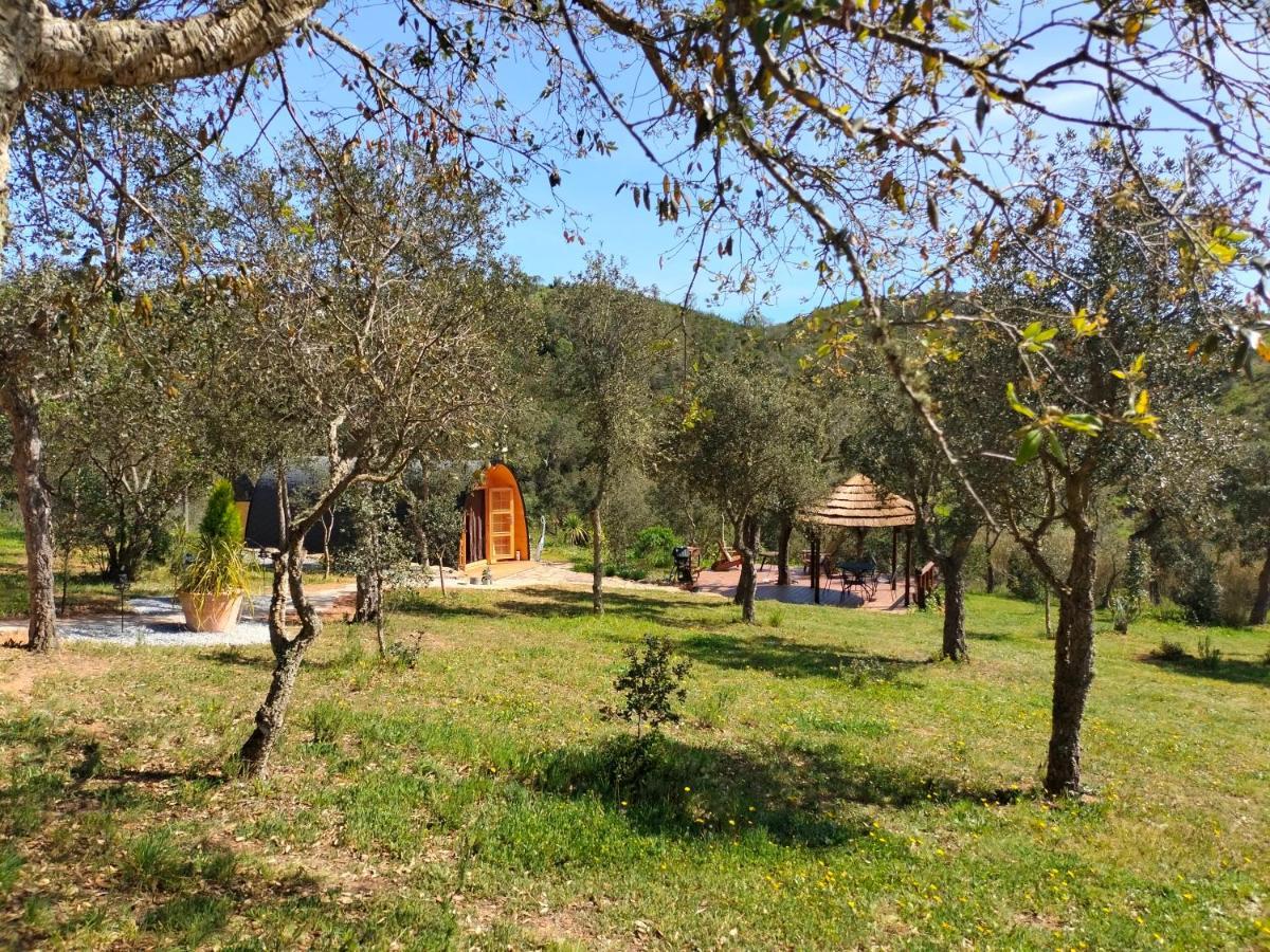 A Baleia, Bungalow De Charme 阿尔热祖尔 外观 照片